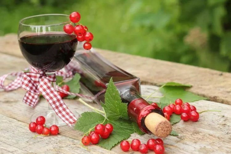 Saskatoon Berry and Red Currant Wine