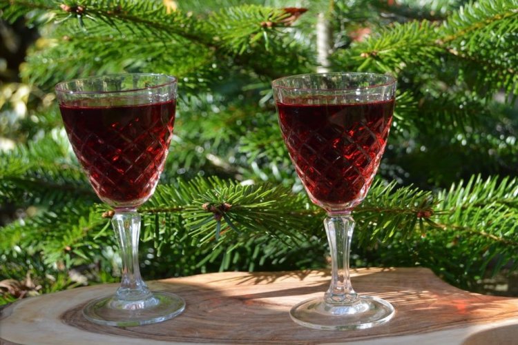 Saskatoon Berry Wine with Pressed Yeast