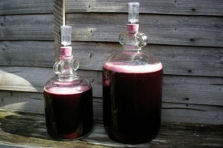 Saskatoon Berry Wine with Honey