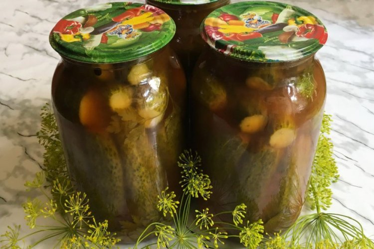 Würzige Gurken mit Ketchup für den Winter