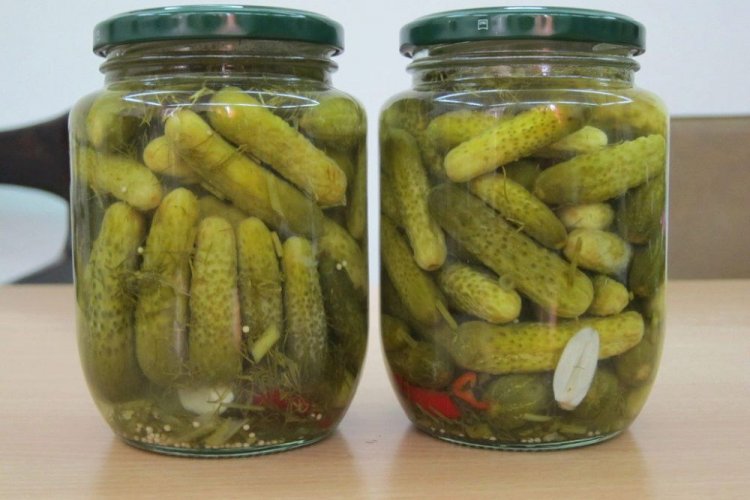 Cornichons mit scharfem Pfeffer, Knoblauch und Dill