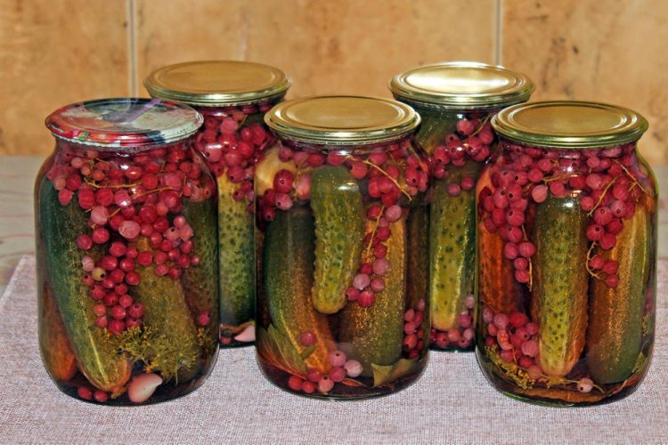 Gurken mit roten Johannisbeeren und Knoblauch für den Winter