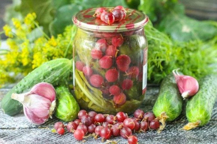 Gurken mit Stachelbeeren ohne Essig