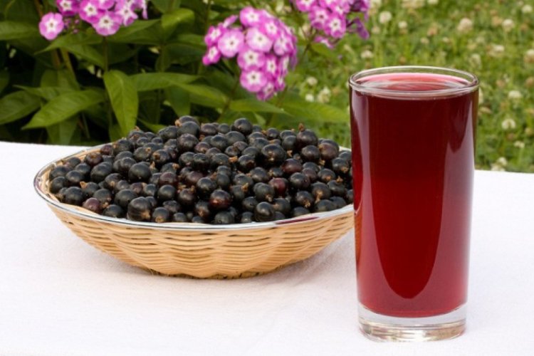 Blackcurrant Juice with Sugar