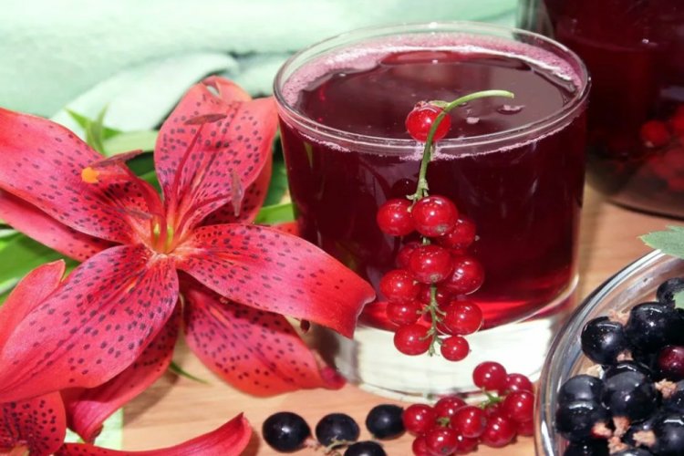Red and Blackcurrant Juice for Winter