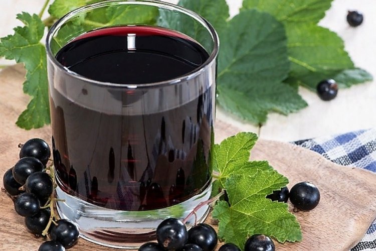 Blackcurrant Juice in a Juicer Steamer