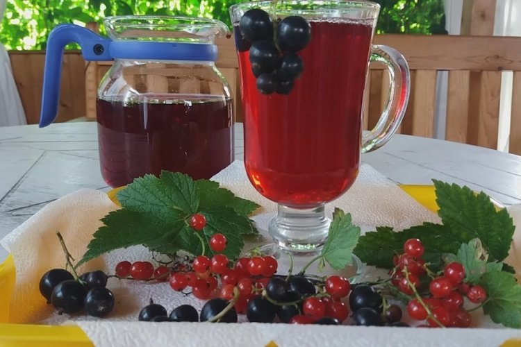 Compota de grosella roja y negra de verano