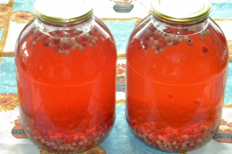 Compota de grosella blanca, roja y negra