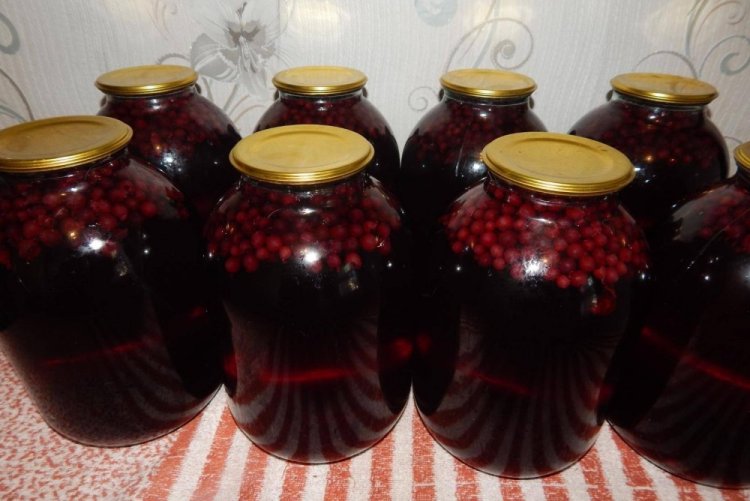 Compota de grosella roja y negra con moras
