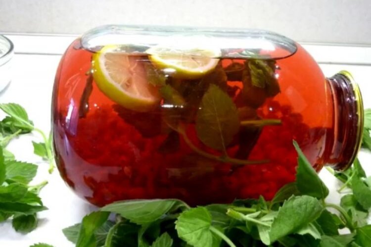Compota de grosella roja y negra con limón y menta