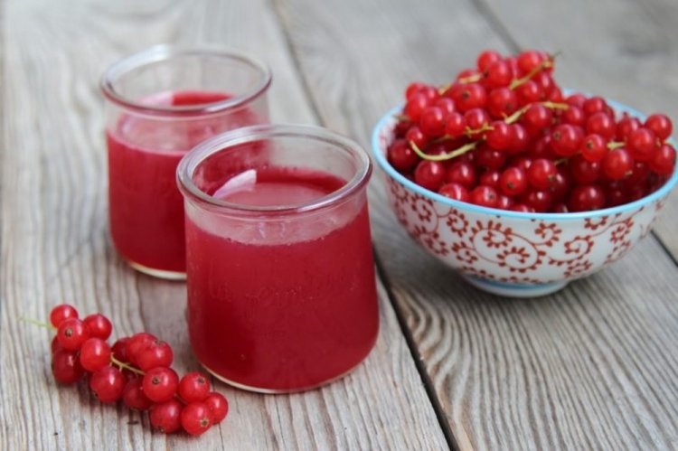 Redcurrant Juice in a Juicer Steamer