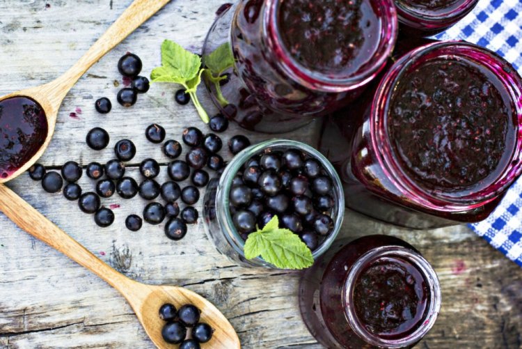 Johannisbeermarmelade mit Honig ohne Kochen