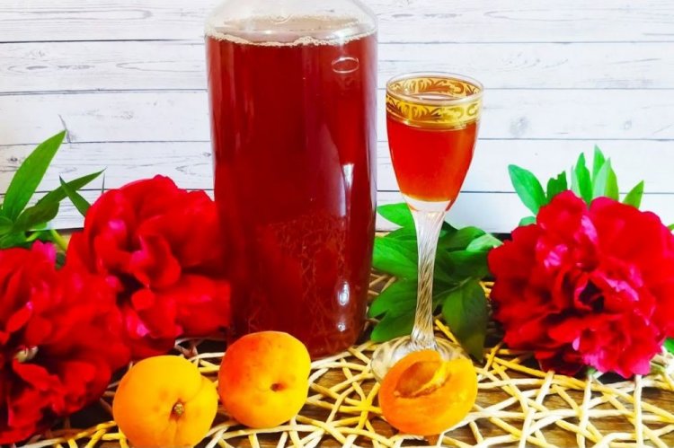 Aprikosenlikör mit Vanille und Brandy