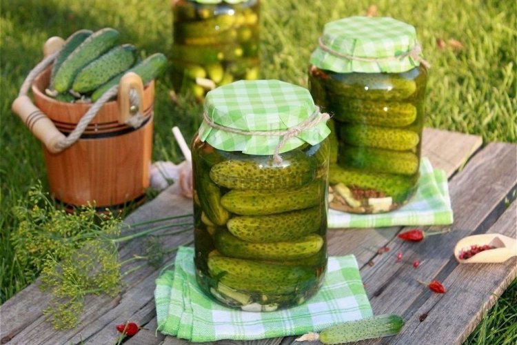 Pepinos picantes con hojas de rábano picante y chile