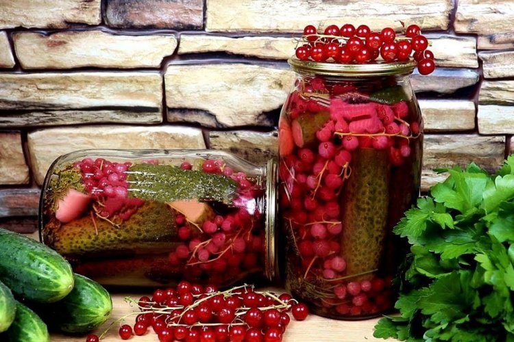 Pepinos con grosella roja y raíz de rábano picante