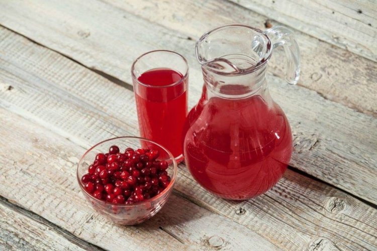Preiselbeersaft ohne Kochen