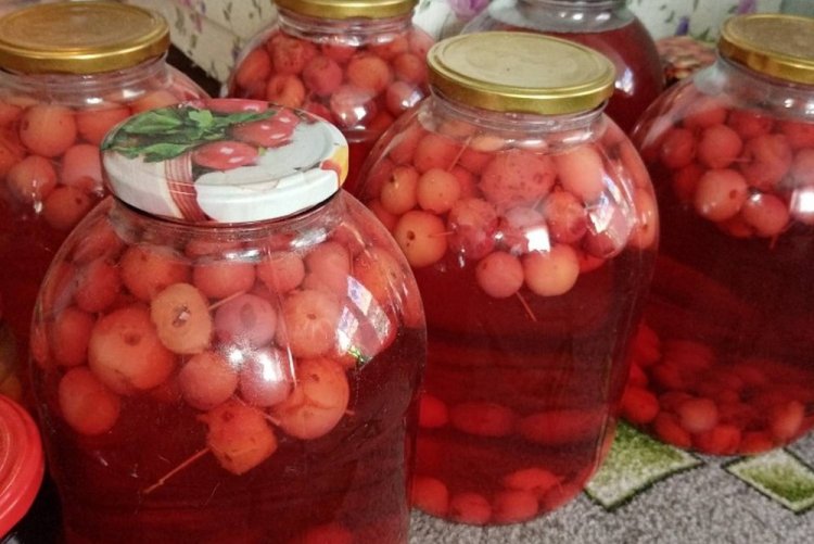 Compota de arándano rojo y ranetki para el invierno
