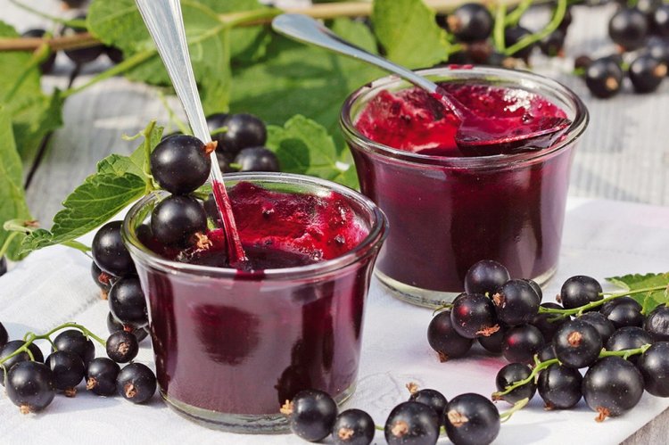 Blackcurrant Jelly with Citrus and Vanilla