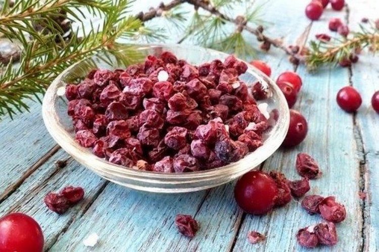 Dried Lingonberries as Candies