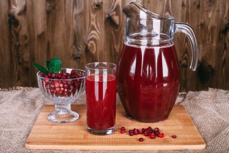 Lingonberry Mors (Fruit Drink)