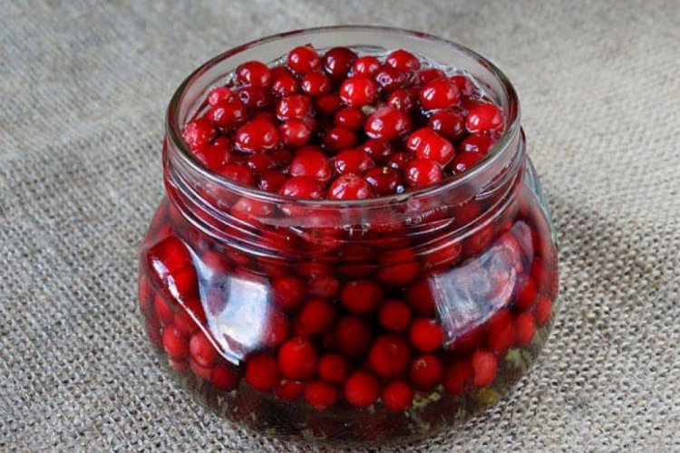 Soaked Lingonberries with Spices