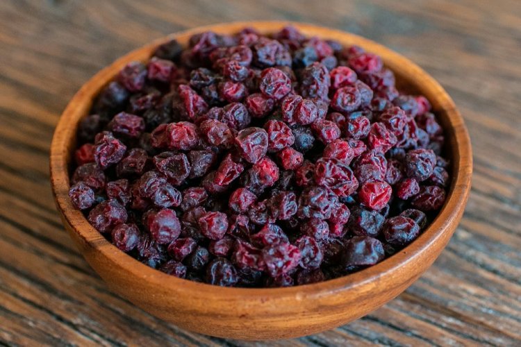 Lingonberries Dried in an Electric Dehydrator