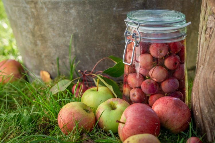 20 tolle Rezepte für Ranetki-Kompott für den Winter