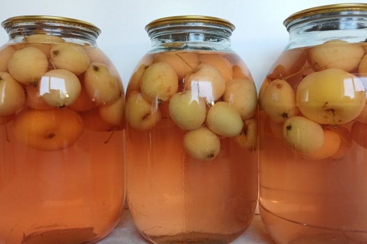 Ranetki-Kompott für den Winter – klassisches Rezept