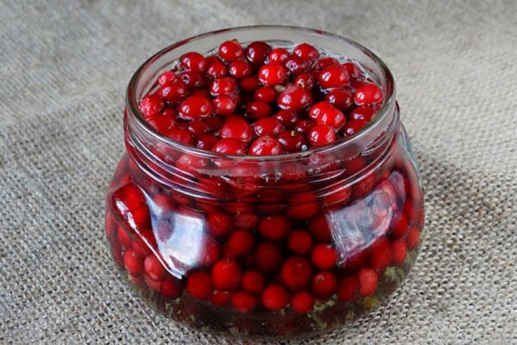 Pickled Cranberries