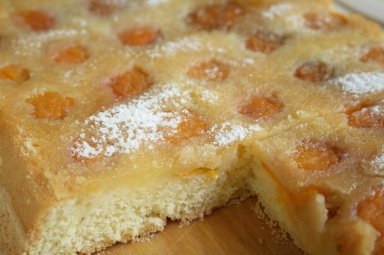 Apricot Charlotte with Milk