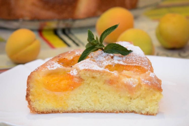 Apricot and Cottage Cheese Charlotte