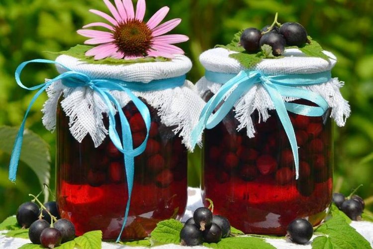 Kompott aus Heidelbeeren, schwarzen Johannisbeeren und Stachelbeeren