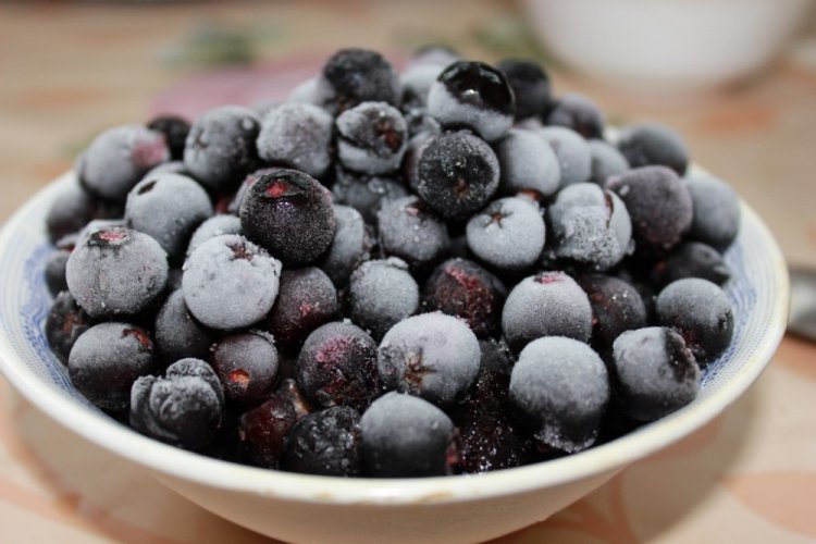 Gefrorene Aroniabeeren