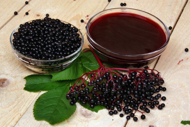 Aroniabeeren-Gelee mit Gelatine