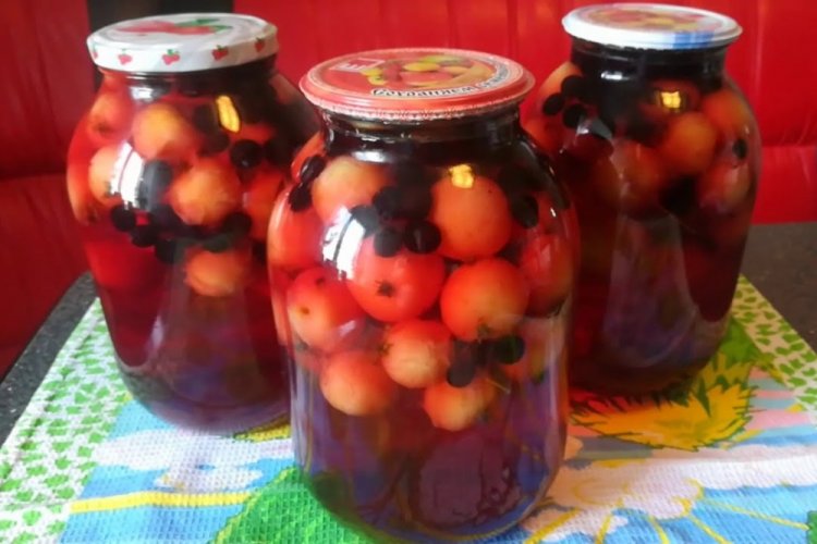 Kompott aus Wildäpfeln und Aroniabeeren ohne Sterilisation