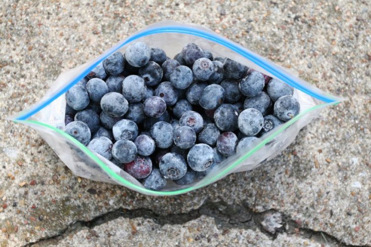 Frozen Blueberries