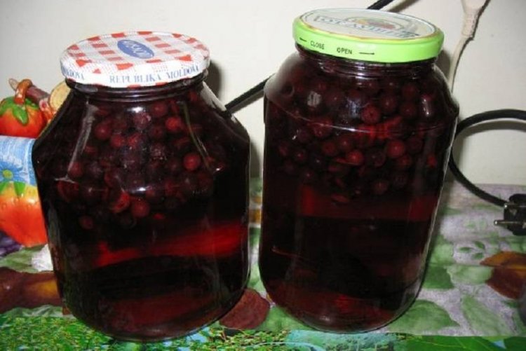 Aronia-Kompotte für den Winter
