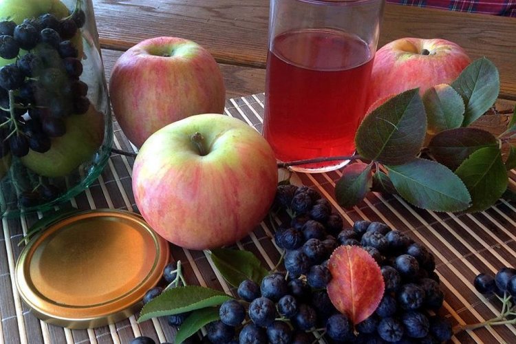 Aronia-Kompotte mit Minze