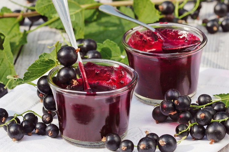 Gelatina de grosella negra con gelatina sin cocción