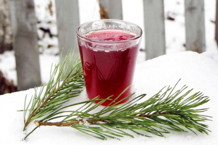 Receta rápida de licor de grosella roja