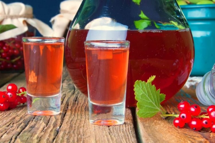 Licor de grosella roja con jengibre