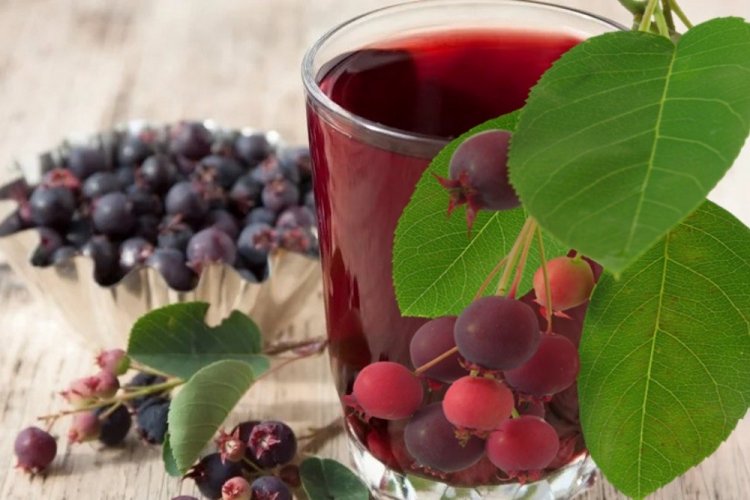 Saskatoon Berry Liqueur with Vodka