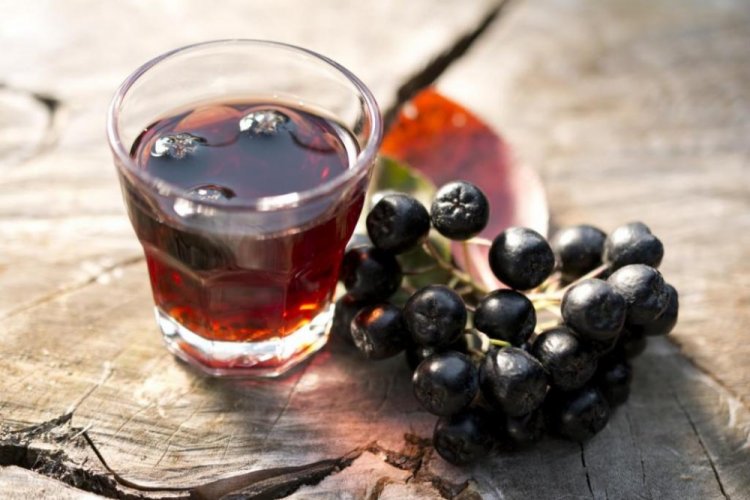 Saskatoon Berry and Chokeberry Liqueur