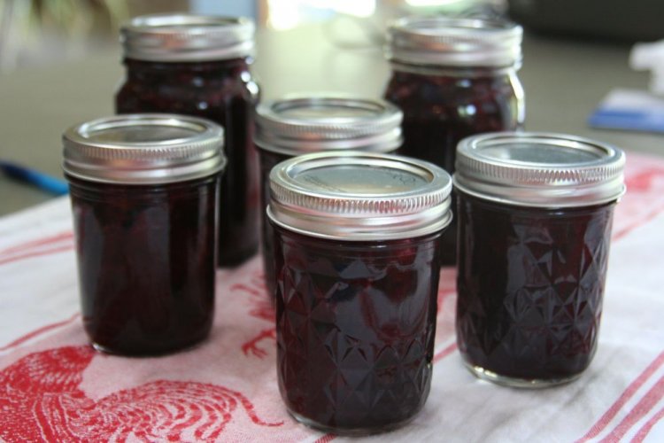 Blueberries with Sugar and Vanilla (No-Cook)