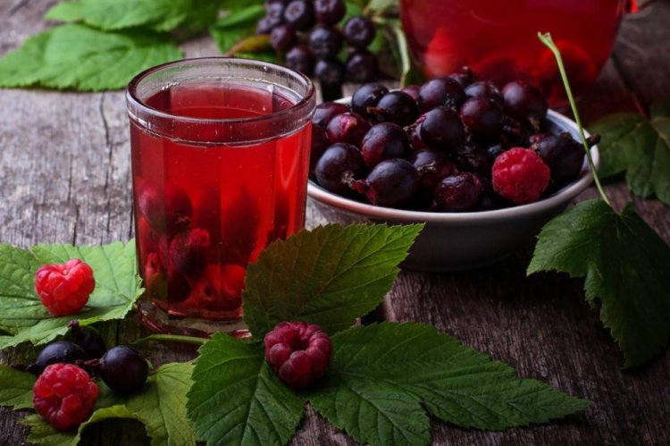 Summer Raspberry and Currant Compote