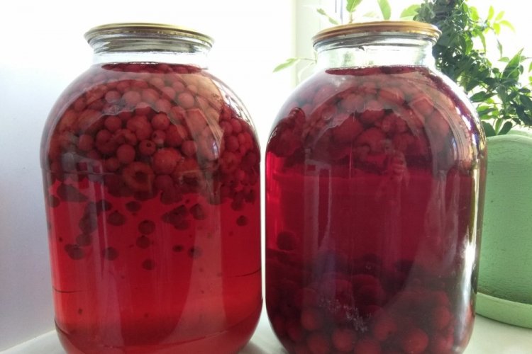 Raspberry and Redcurrant Compote for Winter