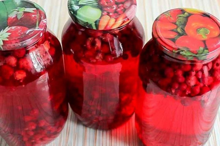Raspberry and Currant Compote for Winter