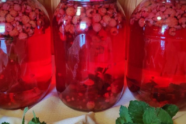 Sugar-Free Raspberry and Currant Compote