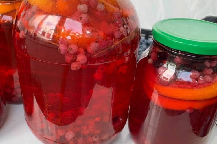 Raspberry, Currant, and Orange Compote for Winter