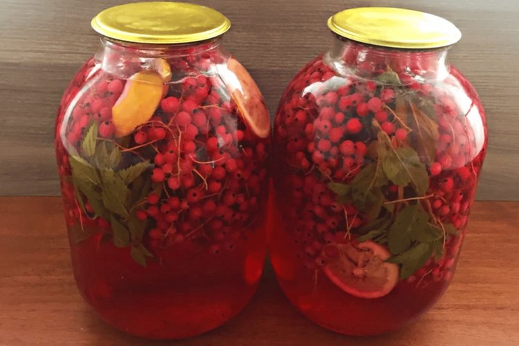 Compota de grosella roja con naranja y menta
